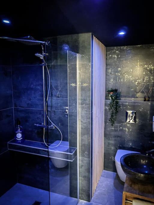 SUITE AMANTIS évadez vous dans l'univers MYKONOS Saint-Chamond Exterior foto